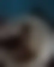 Foto di sihiel97668