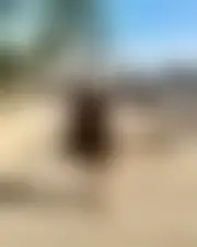 Photo of pauline88