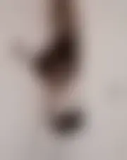 Foto di sylvia00