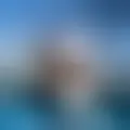 Chat with  agalefius91319