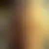 Contato andreacifel29812
