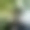Discutir com angel-jeronimo