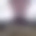 Chat with  aral64448