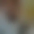 Chat with cozmo