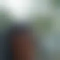 Chat with  fabio756