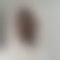 Chat with  gio05