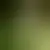 Profile of jessica555