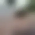 Discutere con jonasjo