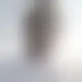 Chat with  lauhasaiah95533