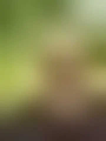 Kontakt laulahaiah66768 og singlekvinder i fjerritslev Chat med laulahaiah66768 og singler mænd i fjerritslev