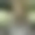 Discutere con leuhetael56013