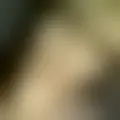 Chattare con  marie-sophie_19