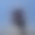 Chat with  mohamed826