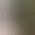 Profiel van mophomee82884