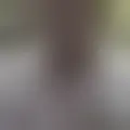 Discutere con passivozonanortesp