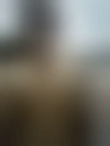 Conheça ralemiah59154 e mulheres solteiras no cruzeiro Bate-papo com ralemiah59154 e homens solteiras no cruzeiro