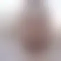 Discutir com reinaldo538