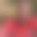 Chat with  richard283
