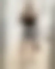 Foto di munadiah364777155