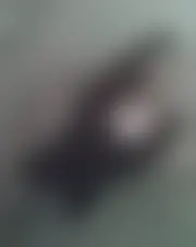 Foto van cynthia27
