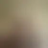 Discutez avec agalefius74314 et des célibataires vers Bruxelles