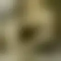 Chat with  agathedisdonc