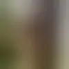 Discutez avec Akim1503a et des célibataires vers bruxelles