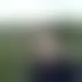 Discutere con anlphegias29566