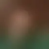 Chat with Barbara239 and singles near minneapolis