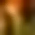 Chattare con  celib1124_24