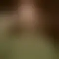 Chat with  clifford381