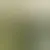 Perfil de gauchoferreira88