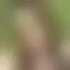 Chat with harleymoon2222 and singles near Manassas Park