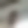Discutere con ieiaziah70853