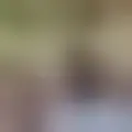 Discutere con josepadillacatala