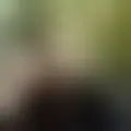 Chat with  kamaczek