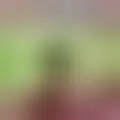 Discutere con karim-man