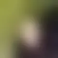 Chat with  leuhetael47287