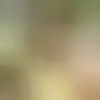 Discutez avec leutzriel66448 et des célibataires vers Saint-Mandé