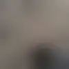 Chatte mit Maxim_0_0 und Singles in der Nähe von ludwigshafen-am-rhein