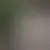 Profile of mophomee3626845436