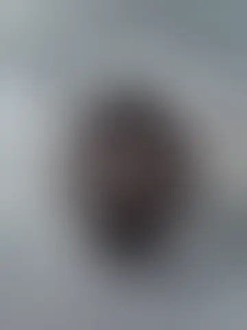 Foto av ninoo1605