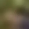 Chat with philipsderrick50agmail_com and singles near Kanona
