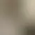 Profile of tumulto_