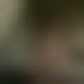 Discutere con zegmaar